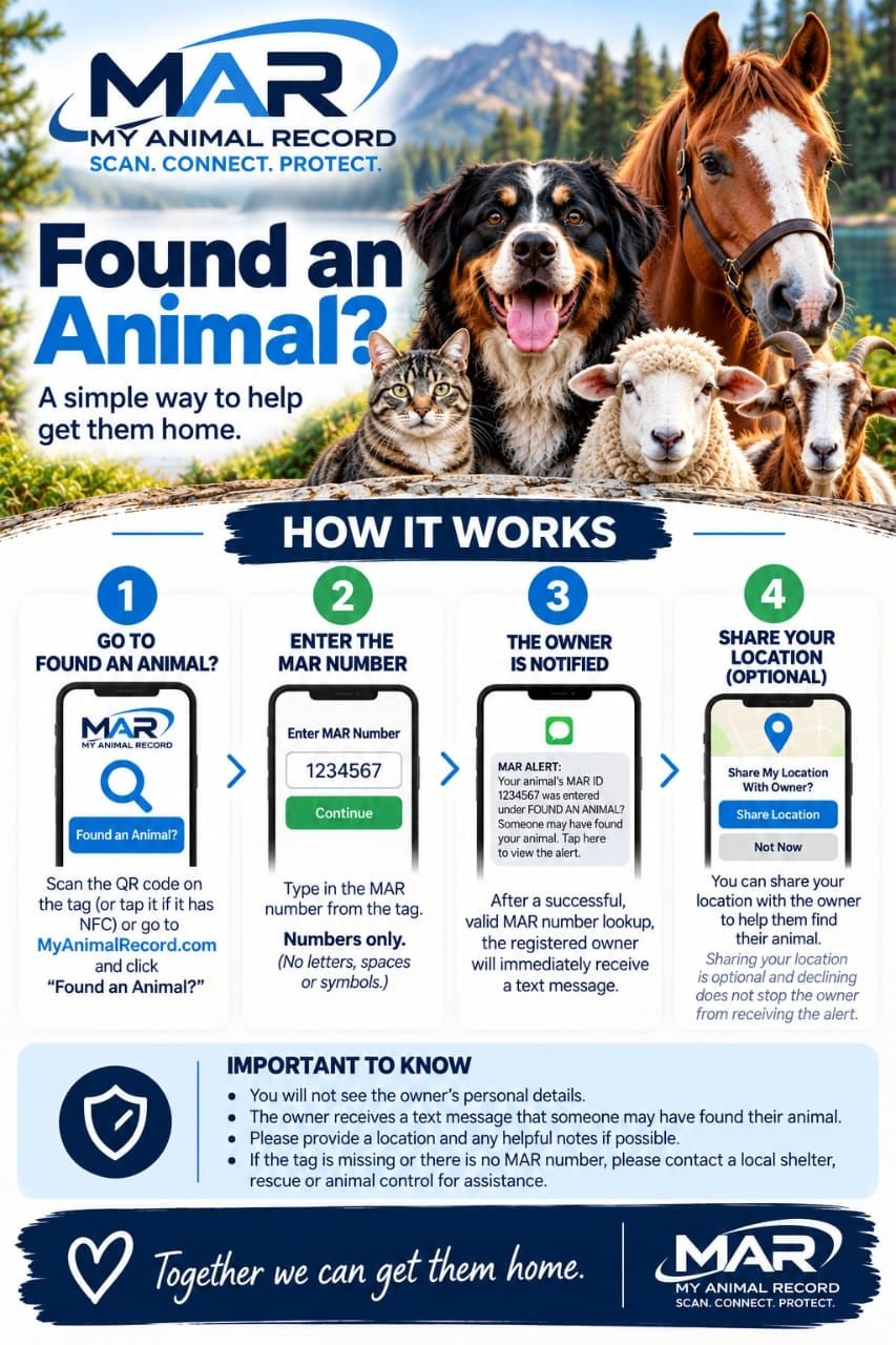 Found an Animal? A simple way to help get them home — how it works in 4 steps.