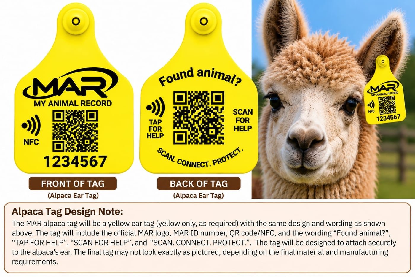 MAR Alpaca Ear Tag (optional) — front and back example design and design note