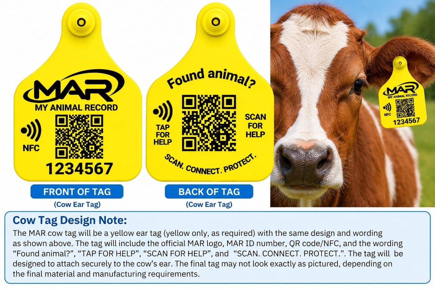 MAR Cow Ear Tag (optional) — front and back example design and design note