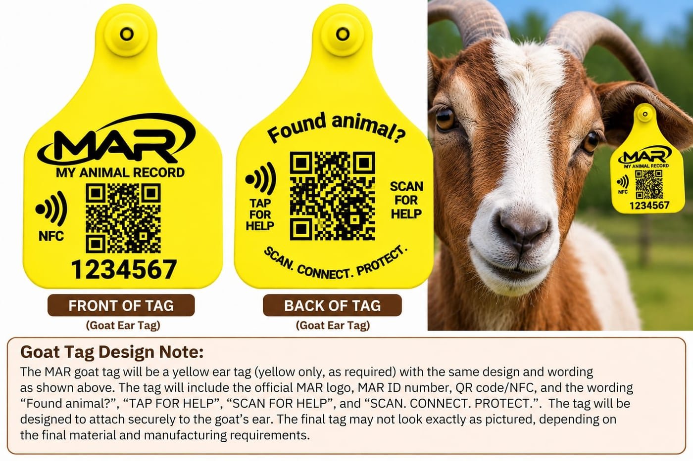 MAR Goat Ear Tag (optional) — front and back example design and design note
