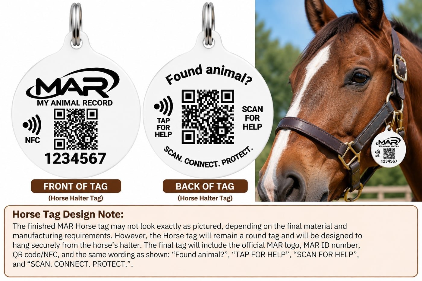 MAR Horse QR ID Tag (optional) — front and back example design and design note