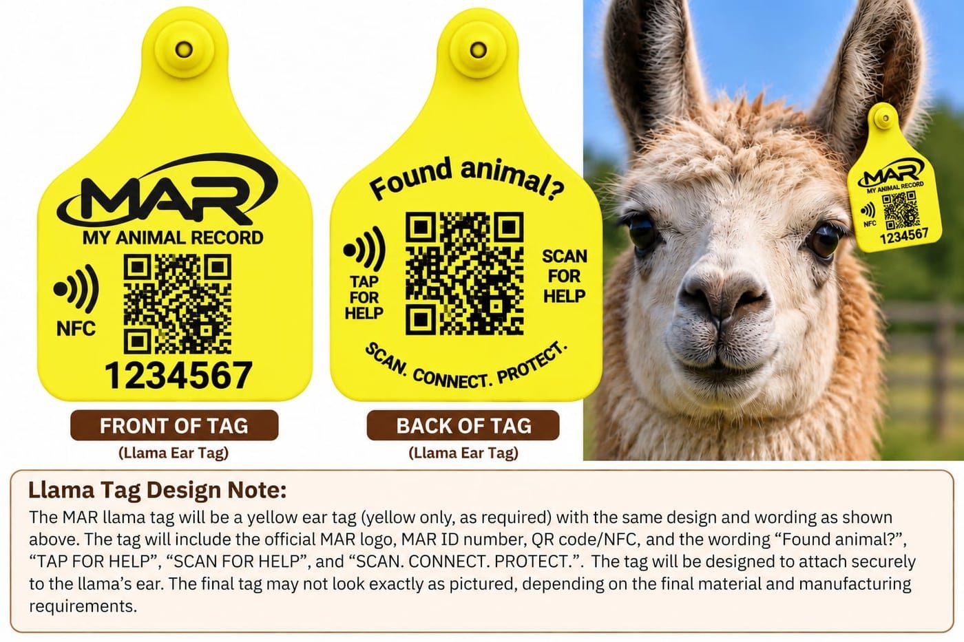 MAR Llama Ear Tag (optional) — front and back example design and design note