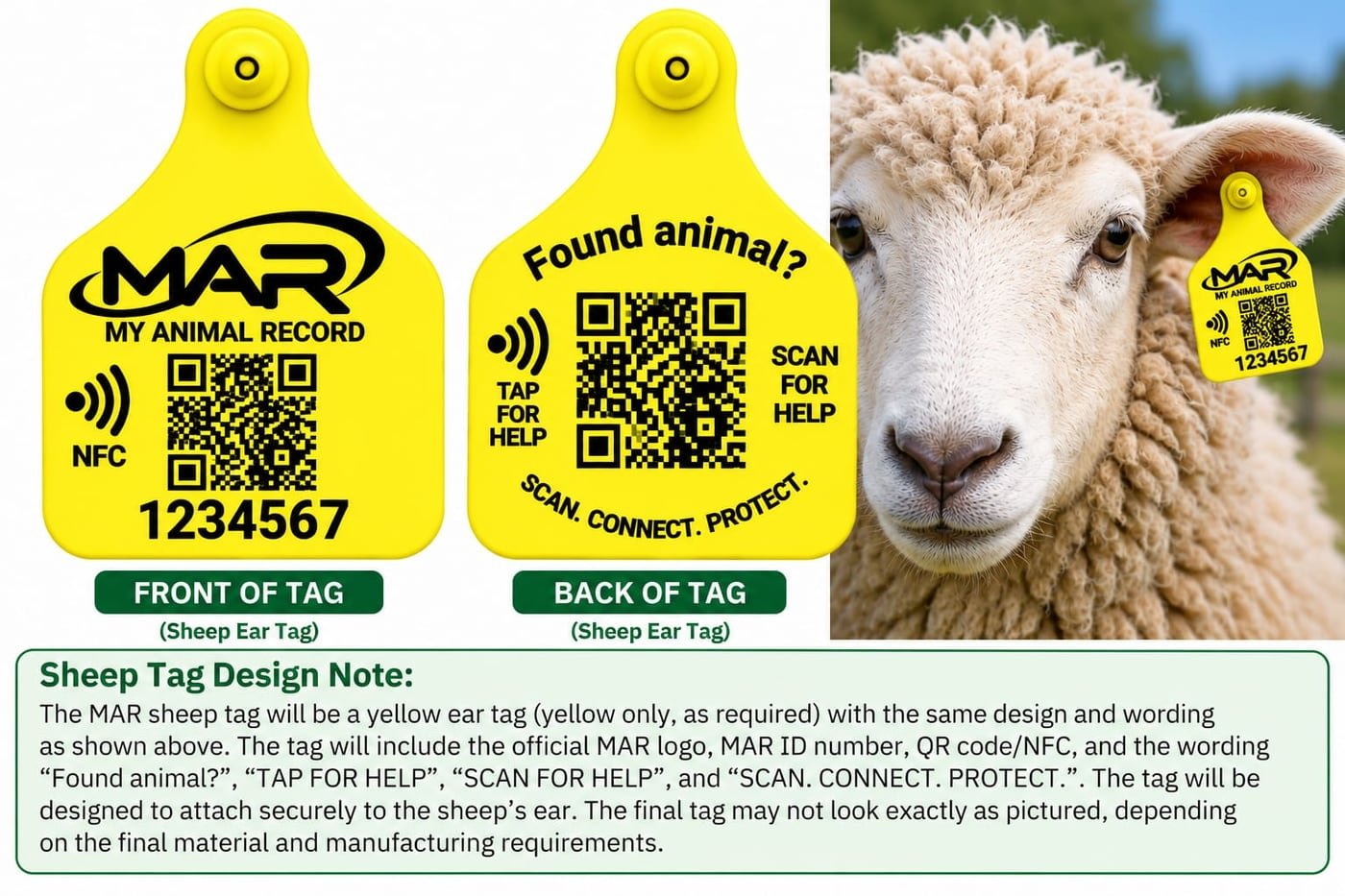 MAR Sheep Ear Tag (optional) — front and back example design and design note